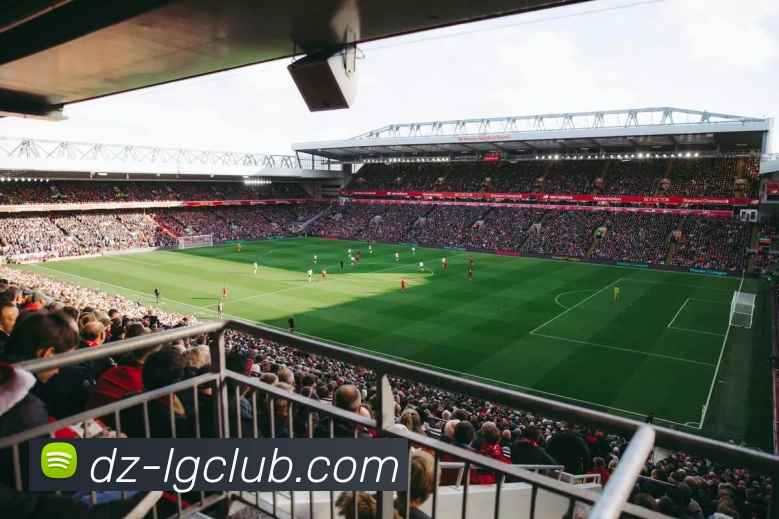 App Interface Preview